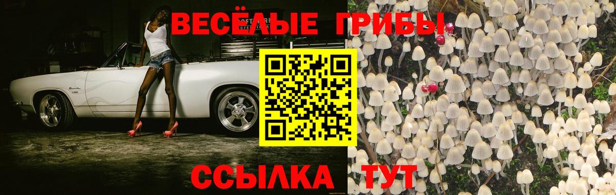 Псилоцибиновые грибы Magic Shrooms  Вход с VPN  Шарыпово 
